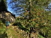 Anello del MONTE CADELLE da Foppolo-Passi Dordona-Lupi-Porcile il 3ott22 - FOTOGALLERY